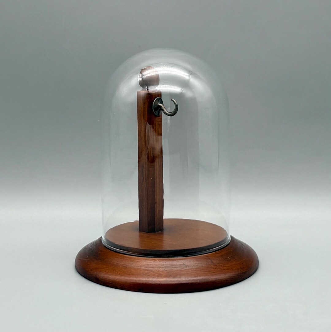 Vintage Glass Cloche Dome With Wood Base & Steel Hook - Etsy