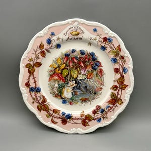 Royal Doulton Brambly Hedge Plates - Etsy