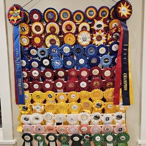 Equestrian Ribbon Display: Horse Show Rosette Holder (Holds 115+ Ribbons)