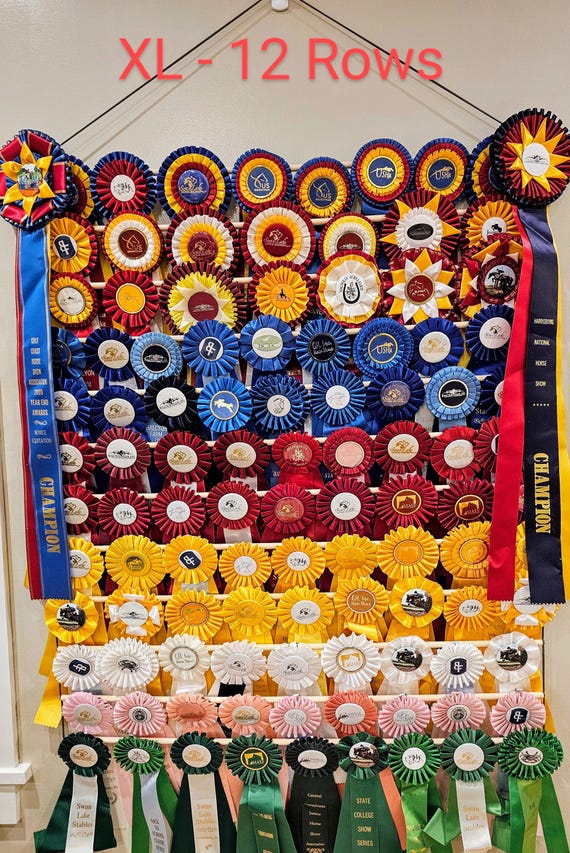 Dog Show Ribbon Display Beautiful And Easy Ways To Display Your