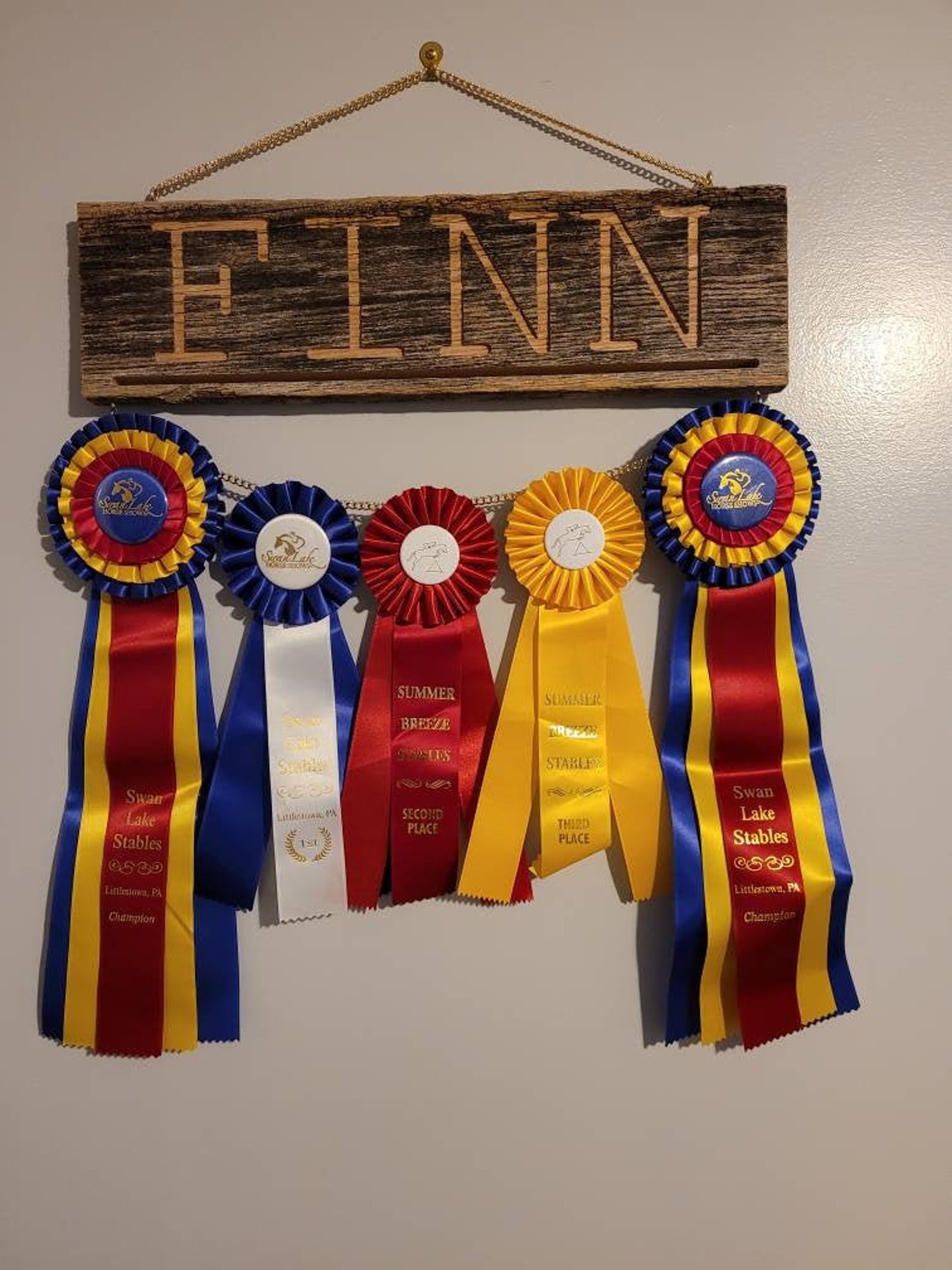 Custom Dog Sign & Ribbon Display Etsy