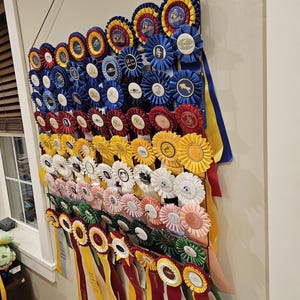 Horse Show Ribbon Display: Equestrian Rosette Holder