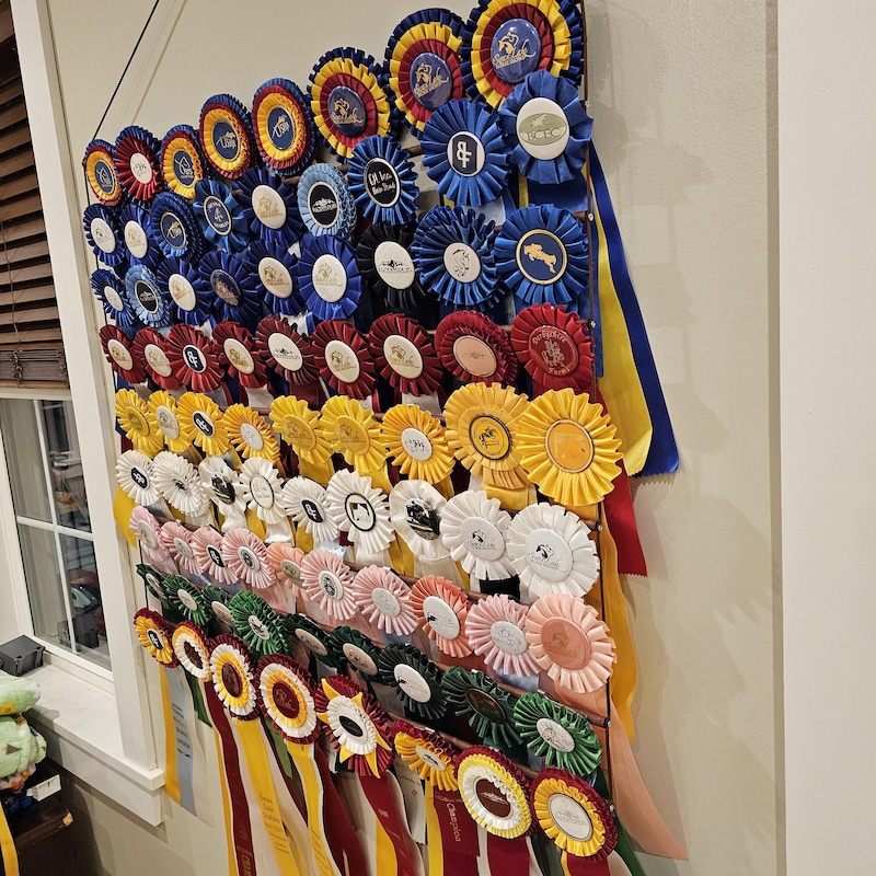 Class A Ribbon Rack Horse Show Organizing - Etsy