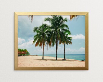 Op de afbeelding: Een ingelijste print met een tropische strandscène. Drie hoge palmbomen staan op een zandstrand, met turquoise water en een bewolkte blauwe lucht. De lijst is goudkleurig.