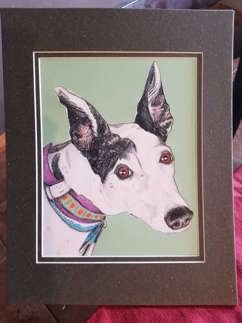Made to Order 9 x 12 Custom Dog Portraits Original Colored Pencil Fine Art Drawings