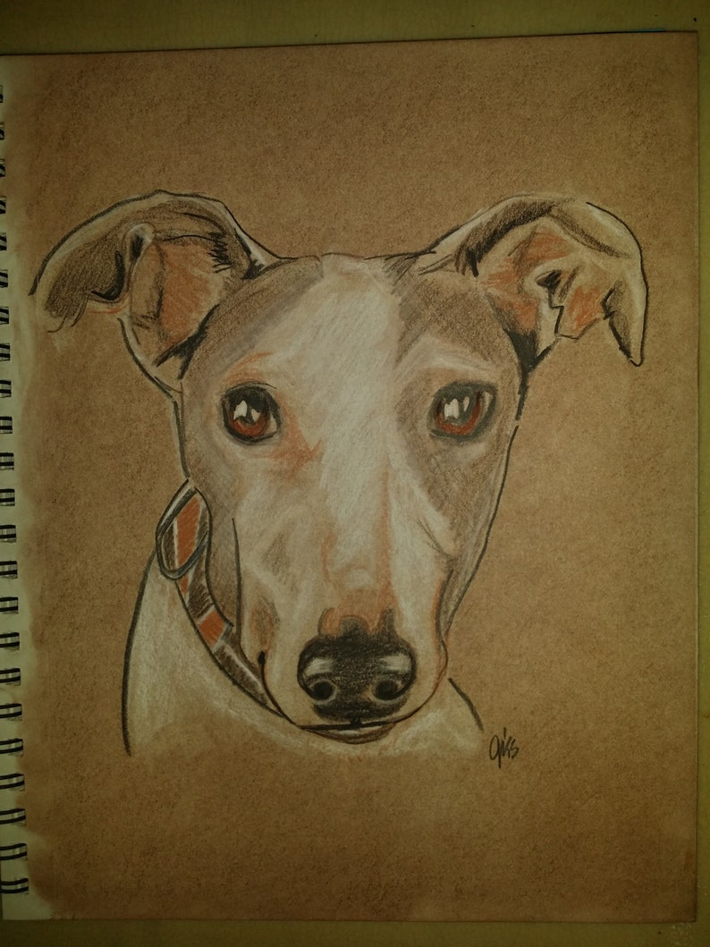 Made to Order 9 x 12 Custom Dog Portraits Original Colored Pencil Fine Art Drawings