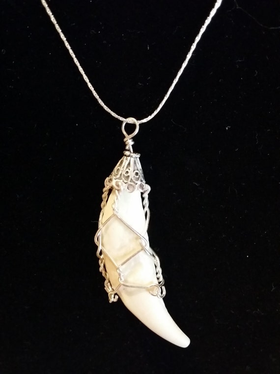 dog tooth pendant