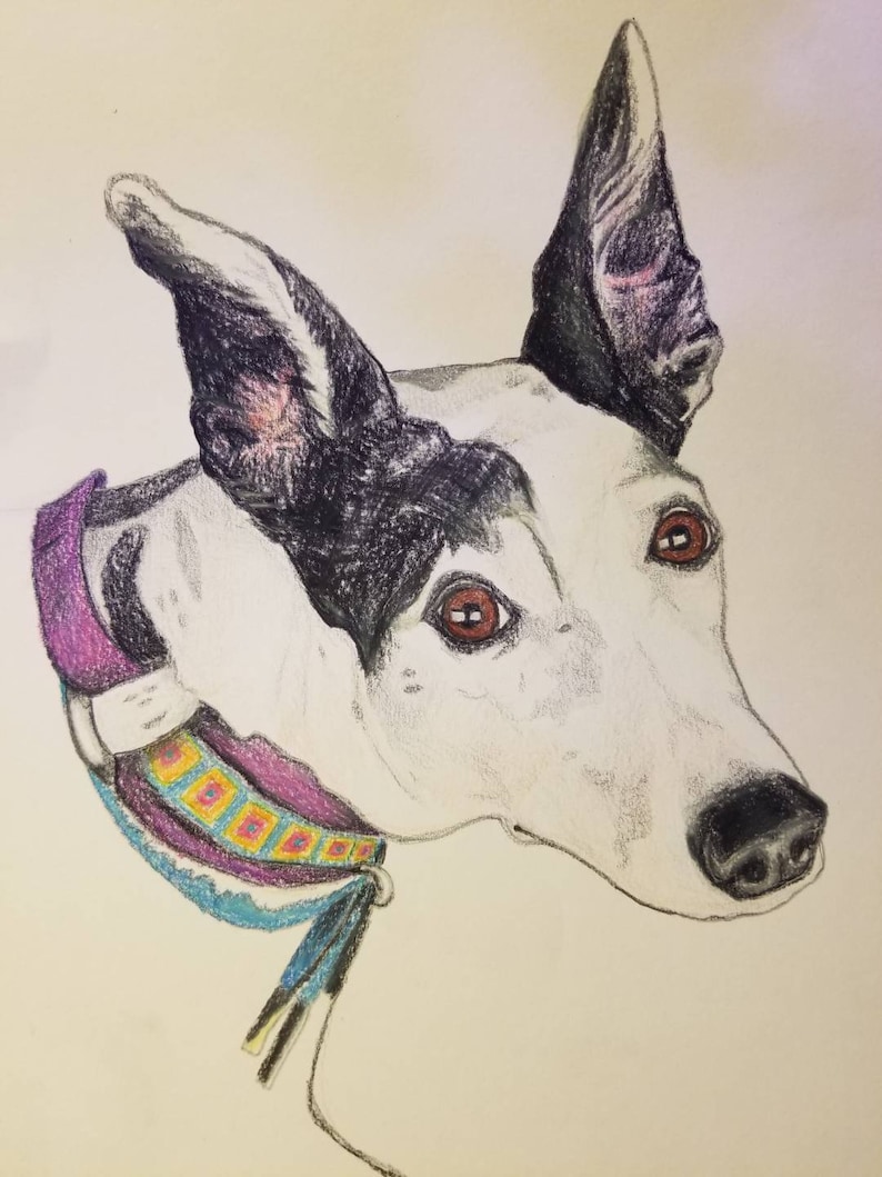 Made to Order 9 x 12 Custom Dog Portraits Original Colored Pencil Fine Art Drawings