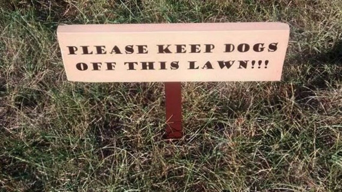 Keep Dogs Off Lawn No Dogs Allowed Custom Yard Sign Custom Etsy