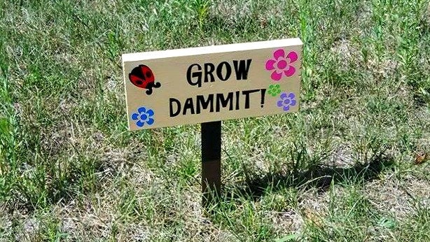 Grow Dammit Grow Damn It Garden Sign Ladybug Sign Outdoor | Etsy