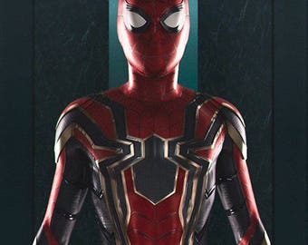 Iron-SpiderHomecoming 3D Printing Cosplay Costume