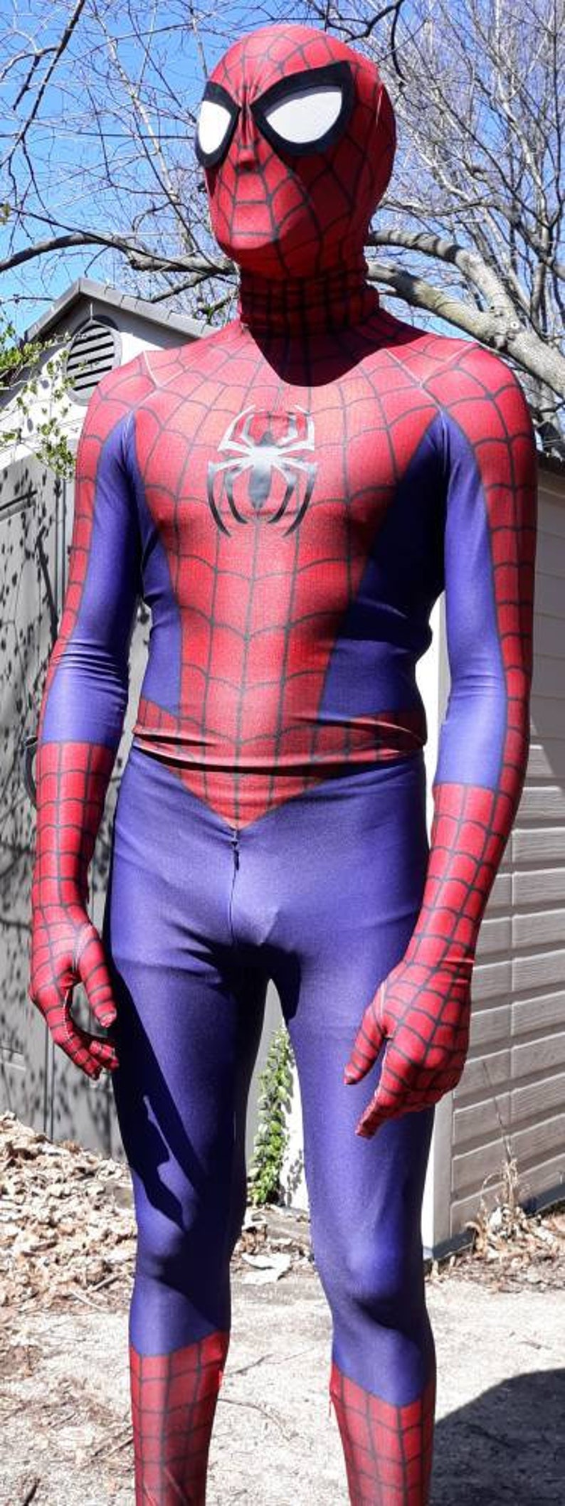 May include: A red and blue spandex costume with a spider logo on the chest. The costume has a mask with white eyes and a red and blue design.