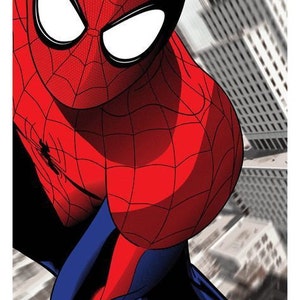 May include: A red and blue superhero costume with a spider web design. The superhero is looking directly at the viewer.