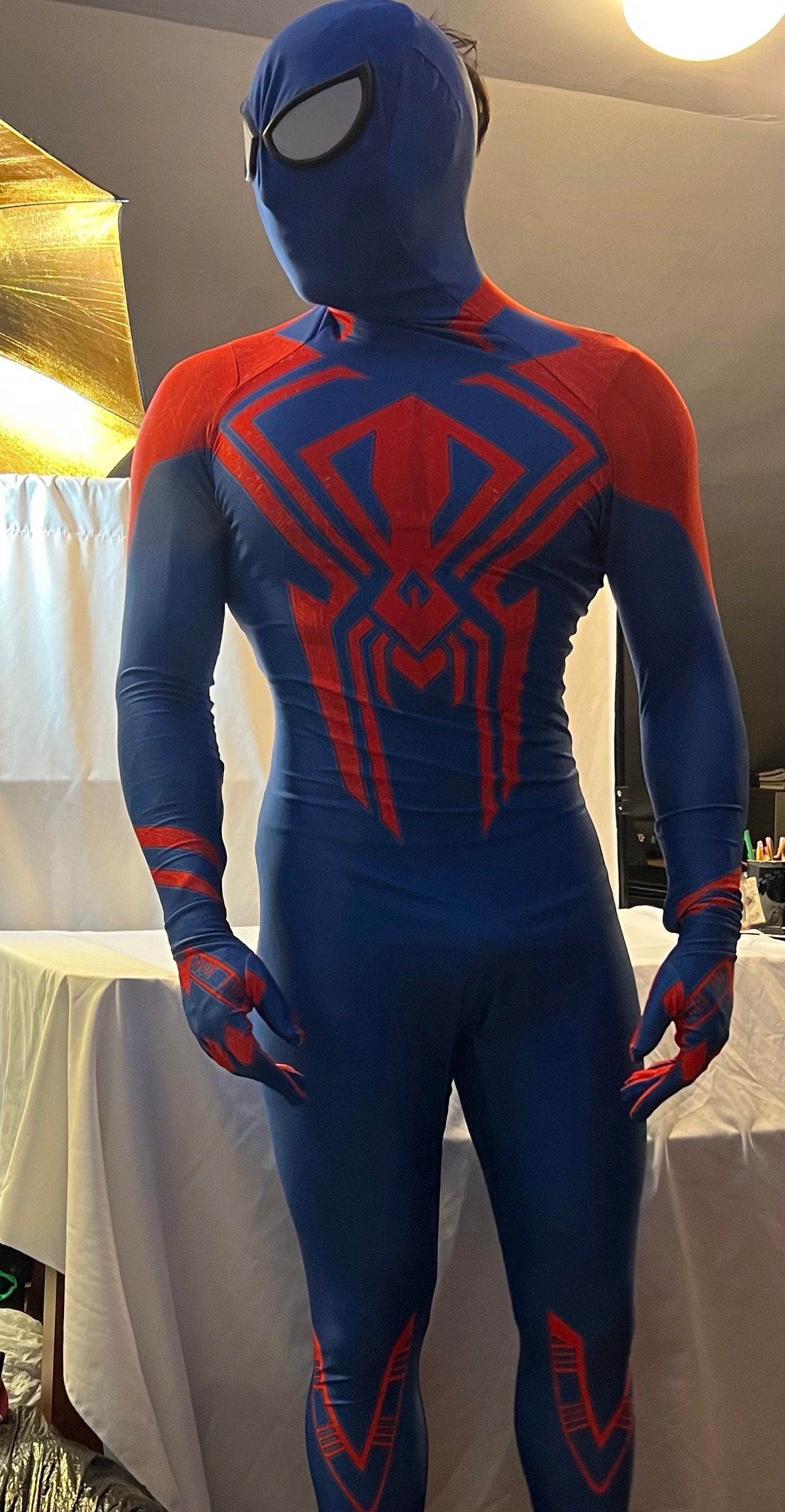 Spiderverse Pattern Special Sale: Spider-man 2099 Across the Spider- Verse Pattern 3D ...