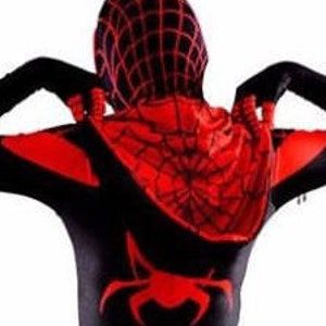May include: Black and red hooded jumpsuit with a spider web design. The hood has a spider web pattern and a black spider on the back.