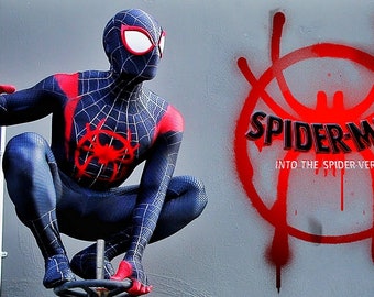 Costume Spiderman 10-12 ans