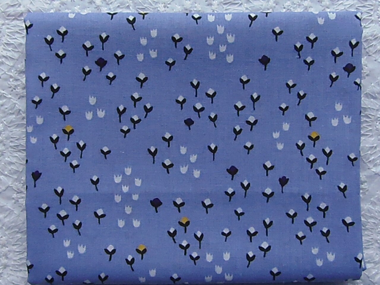 ラベンダー＆イエローの小さなディッツィーフラワーフィールド