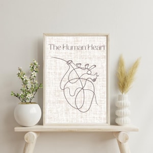 Minimalist Anatomy Line Art | Medical Office Wall Decor | Digital Download | Printable Anatomy Artwork | Healthcare Digital Prints