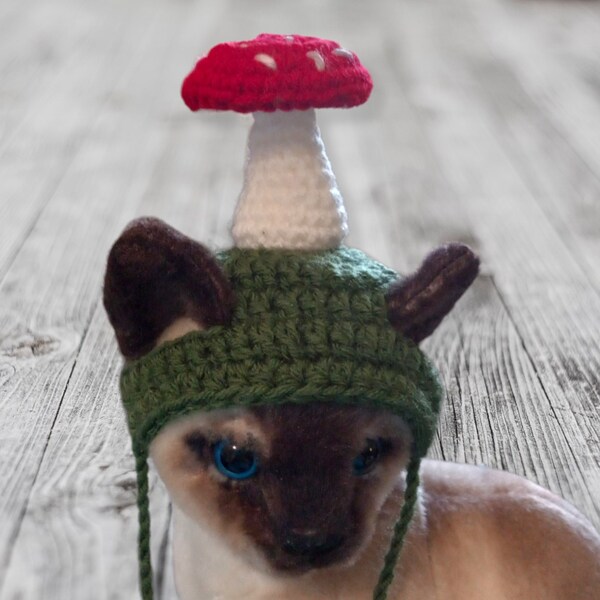 Mushroom Hat Etsy