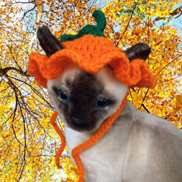 Cute Pumpkin Ruffled Hat for Cat, Kitten, or Small Dogs  Perfect for Fall and Halloween Costume