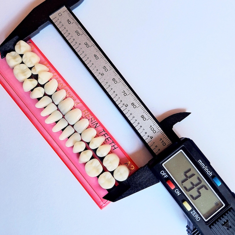 Realsitic Tooth Set of 28 Fake Realistic Human Teeth Set for Art/crafts/sculpturing and ...