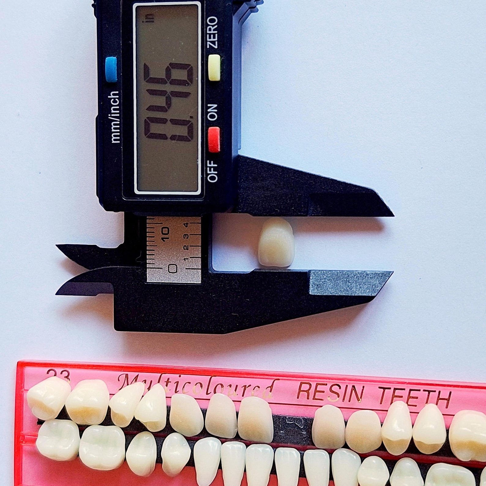Realsitic Tooth Set of 28 Fake Realistic Human Teeth Set for Art/crafts/sculpturing and ...