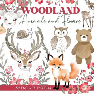 Bosdieren Clipart BUNDEL | PNG | Waterverf | Waterverf | Digitale download | Beer | herten | slak | uil | vos | wolf | bloemen | Woud