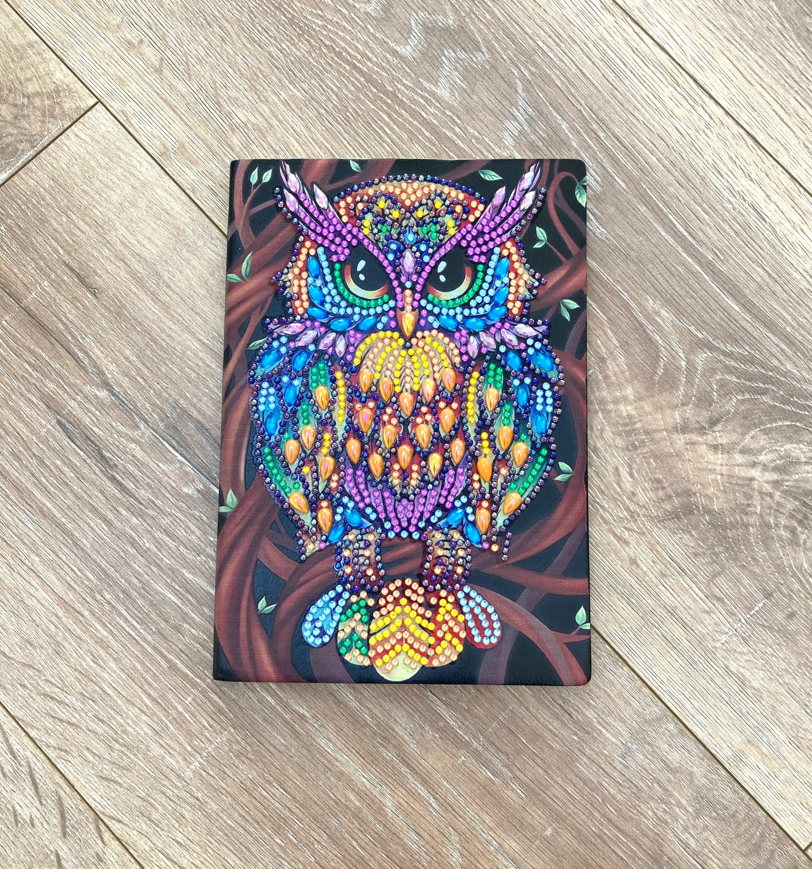 A5 owl blank notebook, luxury diamond painting journal, blank diary, colourful owl stationary, dream
