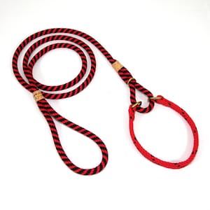 Martingale Lead with Collar