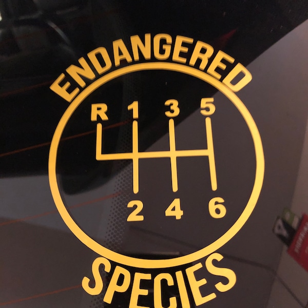 Manual Transmission Etsy