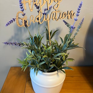 Laser Cut Happy Graduation Cake Topper/Flower Pick/Plant Pick