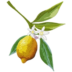 Lemon tree branch embroidery for embroidery machine