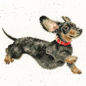 Dog Cross Stitch Kit, Dachshund, Wrendale Hannah Dale, Friday Feeling, Sewing Needlework Embroidery Gift, Birthday Christmas