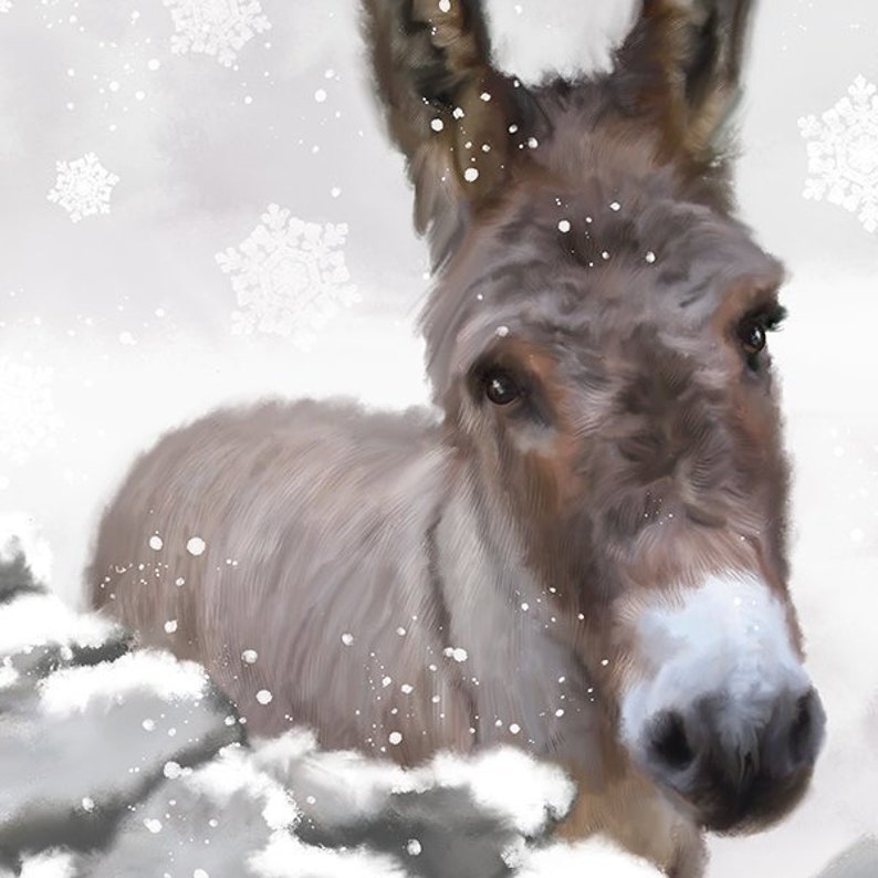 Donkey Art Print Living Room Wall Decor Gift For Her Him Animal Prints Country Farmhouse Gifts