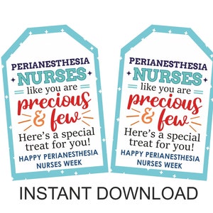 Perianesthesia nurse gift tag printable / Perianesthesia nurse week treat tags / Perianesthesia nurse thank you tags / favor tags PDF