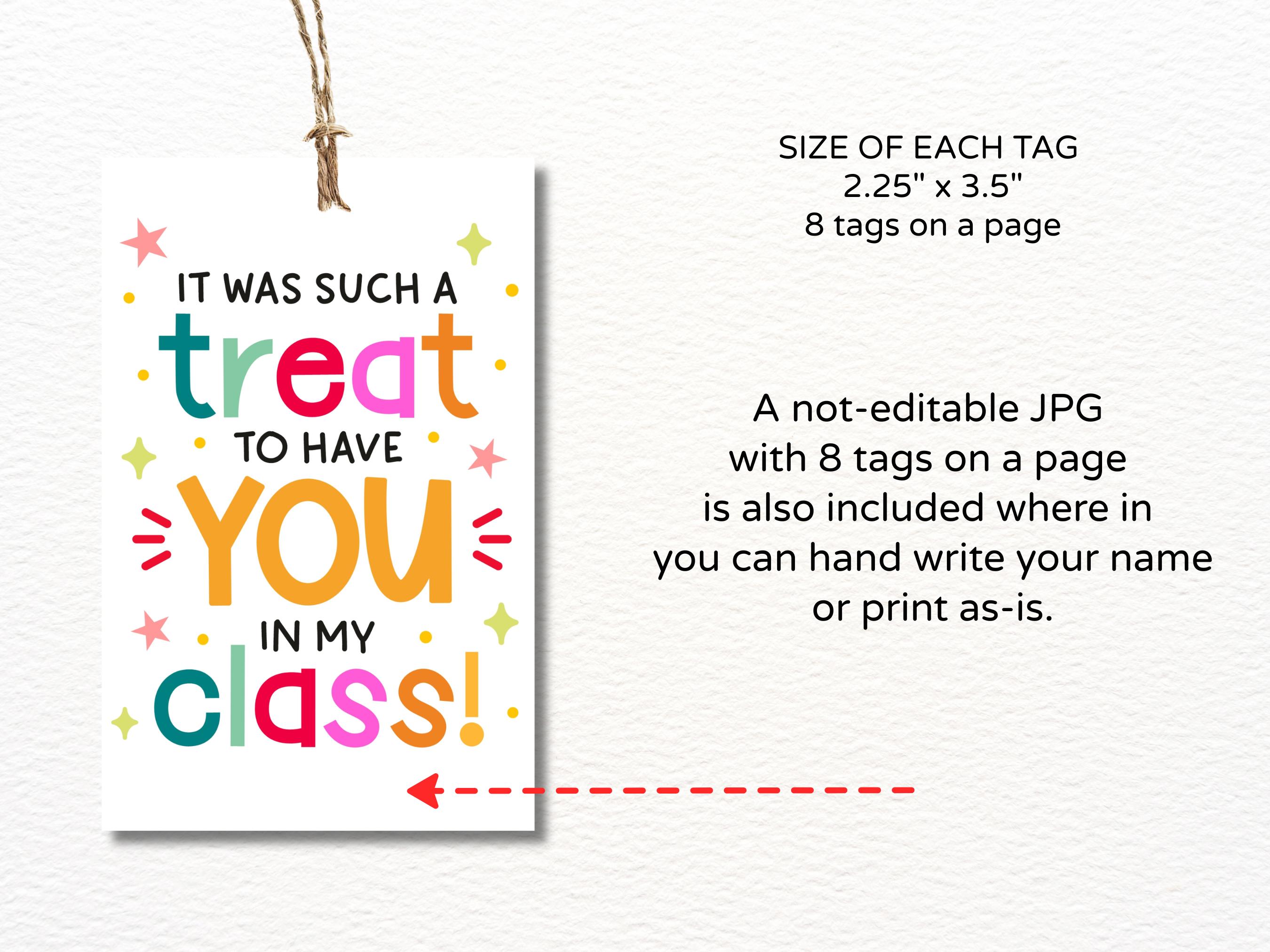 Last Day of School Student Treat Tags Printable / Year End Student Gift ...