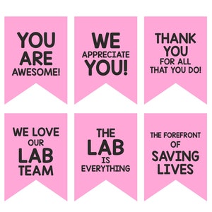 Pink Lab Week banner printable / Lab week 2024 banner / Lab week gifts / Lab week decorations / Lab week decor / Lab appreciation week PDF image 3