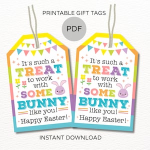 Easter coworker tags printable / Easter Coworker appreciation tags / Easter coworker gifts tag / Easter Work tag / Easter Work with you PDF