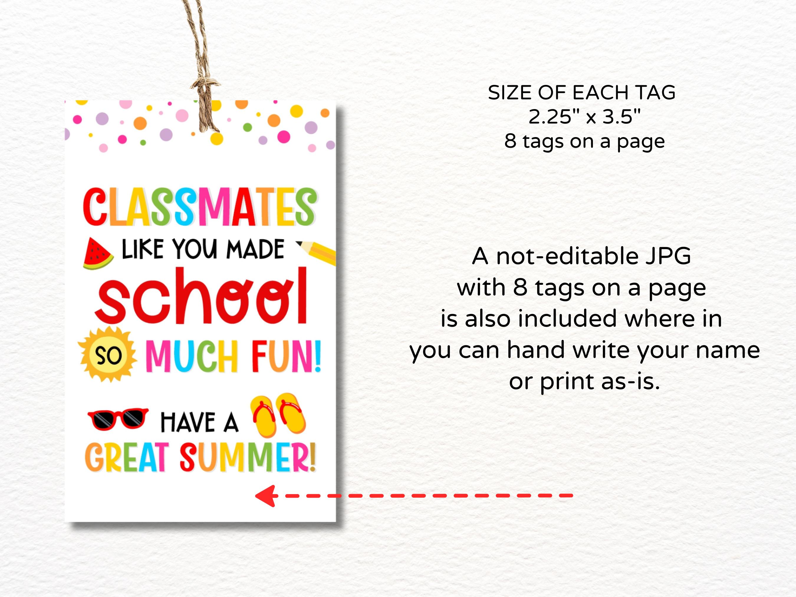 Last Day of School Classmate Gift Tags Printable / Classmate Summer Tag ...