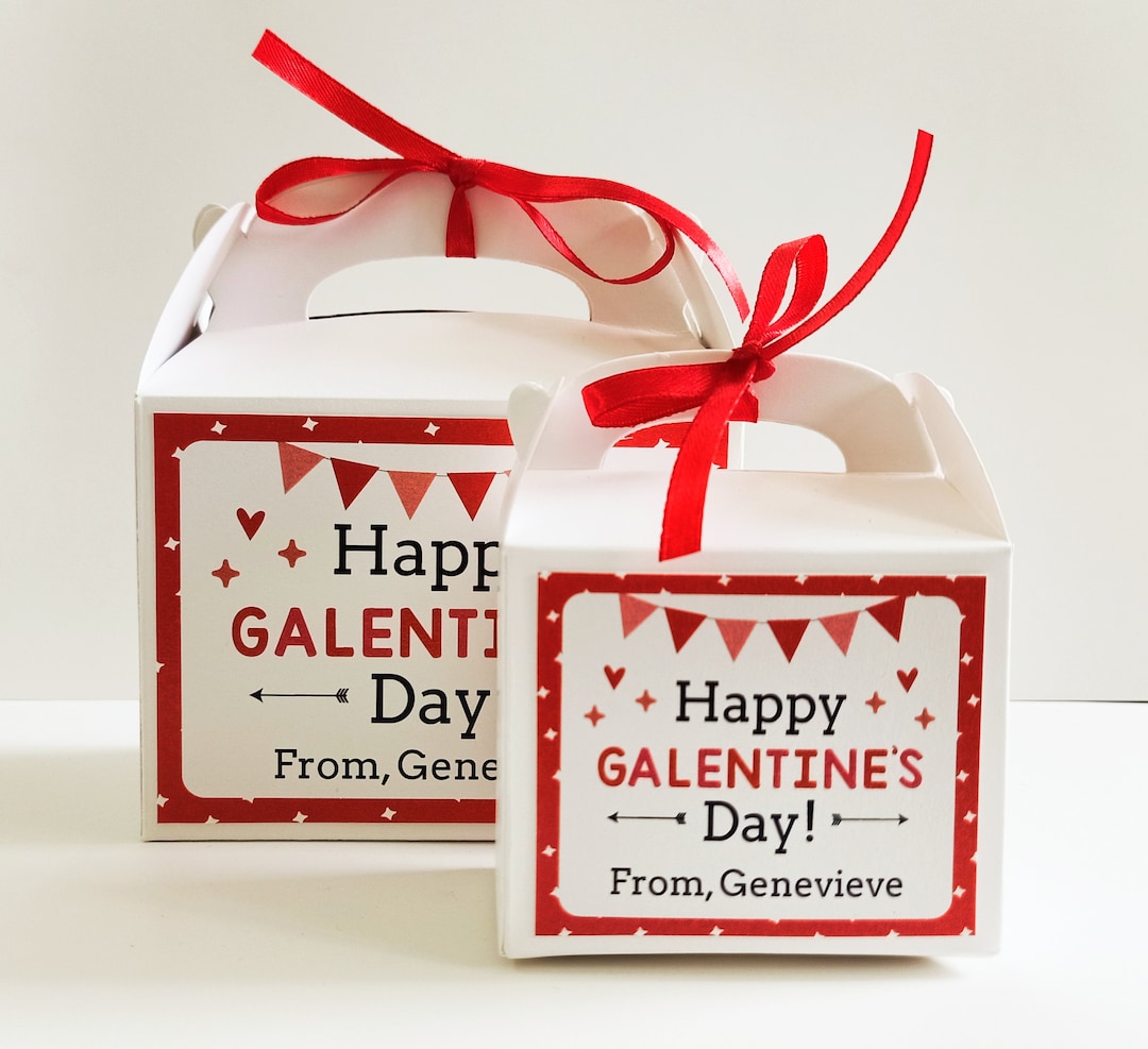 Galentine's Day Gift Bags / Galentine's Day Favor Boxes / Galentine's