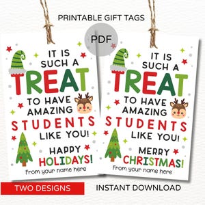 Op de afbeelding: Twee afdrukbare cadeaulabels met vakantiegroeten voor studenten. Eén zegt "Fijne feestdagen!" en de andere "Vrolijk kerstfeest!". Elk label heeft een groene elfenmuts, een rendier, een kerstboom en de tekst "Het is zo'n traktatie om geweldige studenten zoals jij te hebben!"