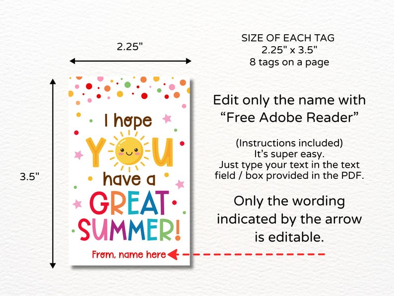 Pu&ograve; includere: Un'etichetta rettangolare con la scritta "I hope YOU have a GREAT SUMMER!" in lettere colorate. L'etichetta misura 5,7 x 8,9 cm e presenta un'illustrazione di un sole sorridente. Il testo "From, name here" &egrave; in basso.
