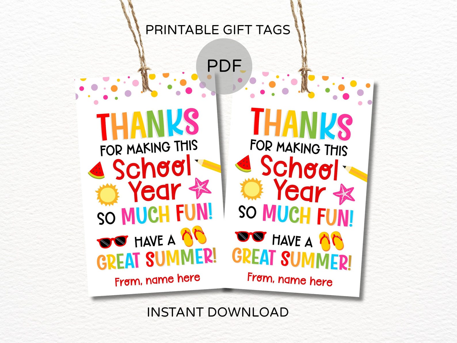 Summer Classmate Tags Printable / School Year so Much Fun Tag / Summer ...