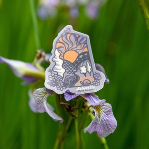 May include: A sticker featuring a stylized illustration of a mountain landscape with a sun, trees, and a car. The sticker is in shades of purple, orange, and green. The text "Asheville - North Carolina" is printed on the sticker.