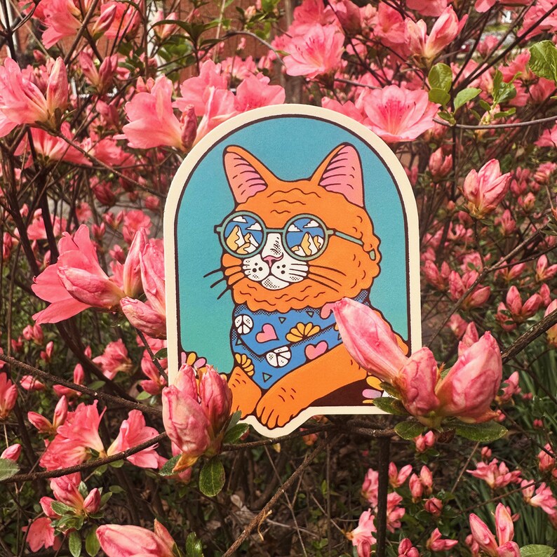 Pu&ograve; includere: Un adesivo con un gatto arancione che indossa occhiali da sole con un segno di pace e un design a forma di cuore sul suo bandana. Il gatto guarda a destra. L'adesivo &egrave; su uno sfondo di fiori rosa.