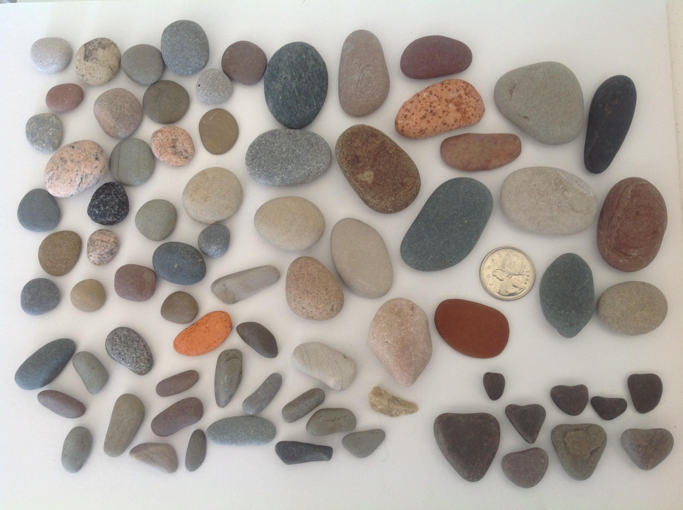 Pebble art supplies Crafting stones Bulk pebbles Stones Etsy