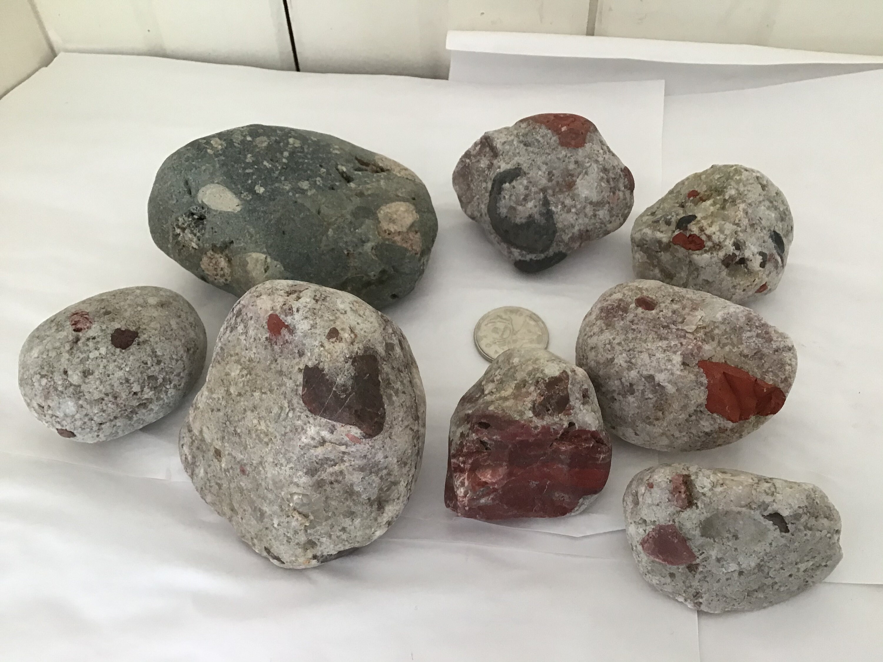 Pudding stones Conglomerate rocks Etsy