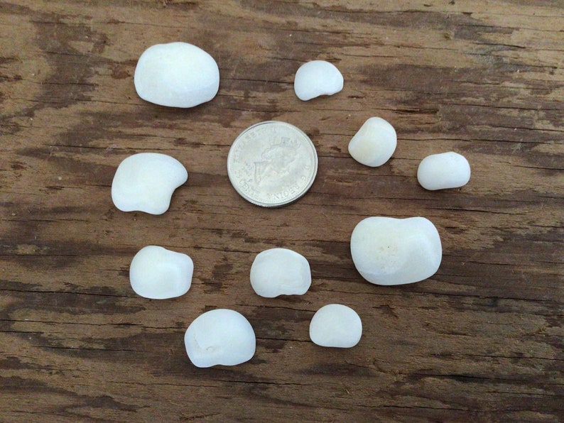 10 Lucky stones Sheepshead otoliths Etsy