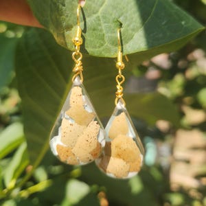 May include: A pair of teardrop-shaped earrings with gold-colored hooks. The clear resin earrings contain beige and white organic material. The earrings are suspended against a background of green leaves.