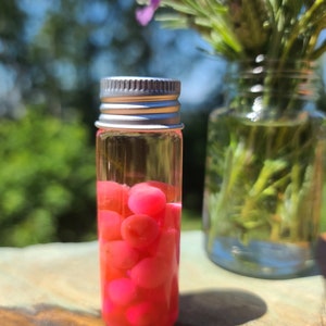 Preserved Salmon Egg Wet Specimens